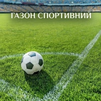 Семена спортивного газона