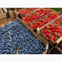 Свіжа полуниця та лохина на продаж