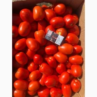 Продам томат сливка Галілея f1