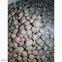Продам овочі: картоплю, цибулю, буряк, часник, моркву