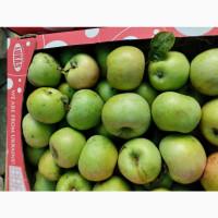 Продам яблука з власного саду