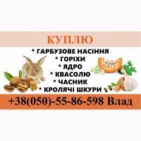 Гарбузове насіння/горіхи/ ядро/ фасоль/ кролячі шкурки/ пір#039;я