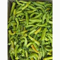 Продам Горький перец, сорт КАМПАЙ