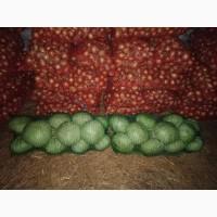 Продам : капусту, свеклу, лук