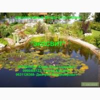 Ландшафтный дизайн у фирм профессионалов