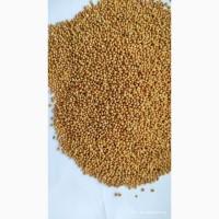 Продам просо жовте (Panicum miliaceum)- 500т. с/г виробник. (Пестицидами не обробляли)