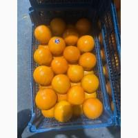 Продам Лимон Турція Опт