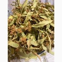 Продам цвіт липи. Ідеальний стан та зберігання