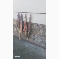 Продам шкури лисиці