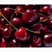 Черешня куплю заморозка