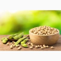 Компанія дорого закупає Сою Харківська обл Дніпропетровська Обл