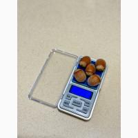 Саджанець фундука Істрійський довгий (Istarski dugi) - дворічний