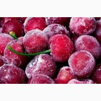 Куплю заморожену вишню дичка, садова, органічна