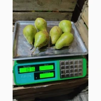 Продам груші. Ноябрьська