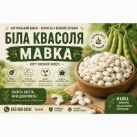 Продаж квасолі сорту Біла мавка (рисовка)