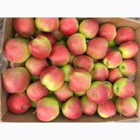 Продам яблука оптом