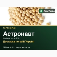 Посівний горох Астронавт - насіння еліта, РН-1