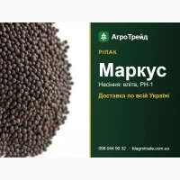 Мвркус - ріпвк, нвсіння елітв, РН-1 3 д0кументвми