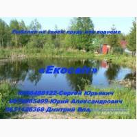 Рыбалка на своем пруду или водоеме