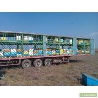 Продам пчелопавильон