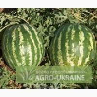 3вкуп08уєм0 кв8ун Херс0н