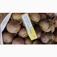 Продаём буряк сорт Пабло 2 сорт
