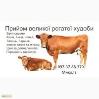 Куплю врх
