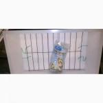 Инкубатор Курочка ряба ИБ-120 с автоматическим переворотом, тэновый, цифровой