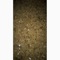 Продам жмых и шрот подсолечный от производителя с 100 тонн