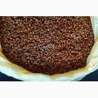 Продам бактороденцид зерновой, отрава от грызунов, на поля, склады, хозяйства