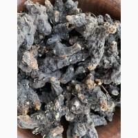 Продам сухий корінь калгана, корень лапчатки, калган