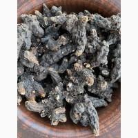 Продам сухий корінь калгана, корень лапчатки, калган