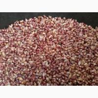 Насіння часника.с.Любаша.фц.3, 5+-4мм