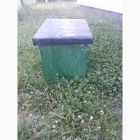 Продам бджоли