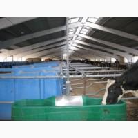 Постройка телятника, РПС 12, 18, 21, клюшечника, конеферма, свинарники