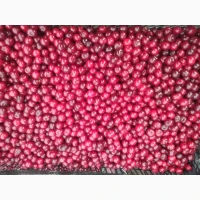 Продам ВИШНЮ заморожену з кісточкой