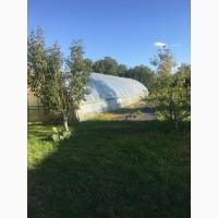 Продам большую теплицу, возможен ТОРГ