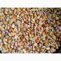 Продам зернові культури