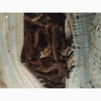 Куплю лист липи, лист малини