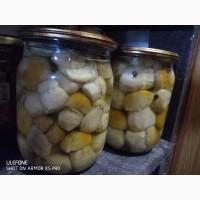 Гриби мариновані, білі