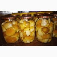Гриби мариновані, білі