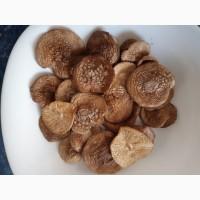 Продам пантерний 2025 року врожай