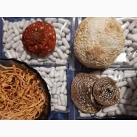 Продам пантерний 2025 року врожай