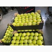 Продам яблоки несколько сортов с хранилищя. От производителя с 20 тонн