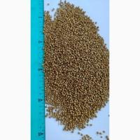 Продам коріандр- 60т