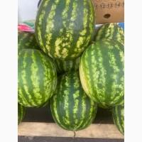 Продам кавун, Вінницька область, Немирівський район