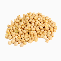 Продам нут 90 т, Одеська обл, с. Вигода