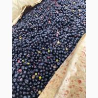 Продам Заморожену Чорницю