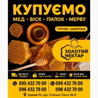 Купуємо мед оптом