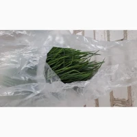 Продам зелену цибулю
